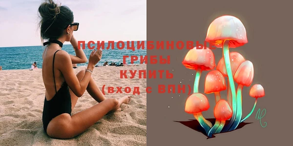 шишки Балахна