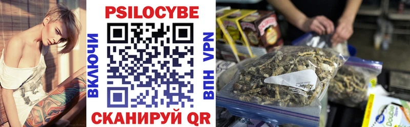 где можно купить   Куровское  Галлюциногенные грибы Magic Shrooms 